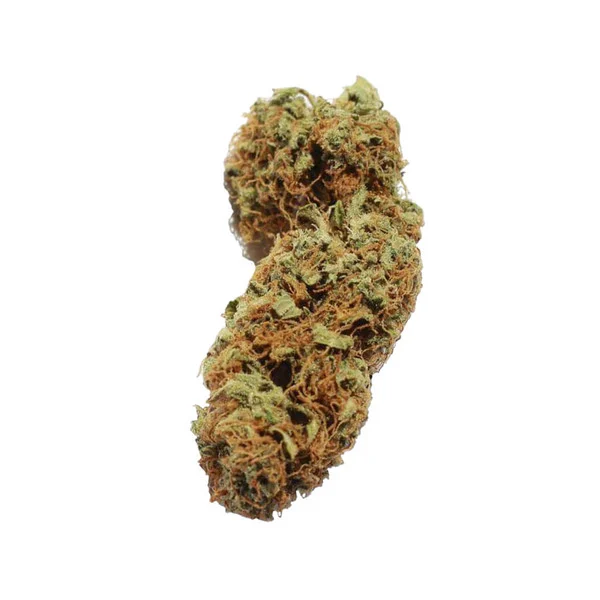 northern-light-autofiorente-cima cima della pianta di cannabis northern light autofiorente della royal queen seeds su weed therapy