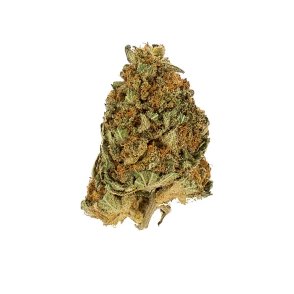 northern-light-fiore fiore della pianta di cannabis northern light femminizzata della royal queen seeds