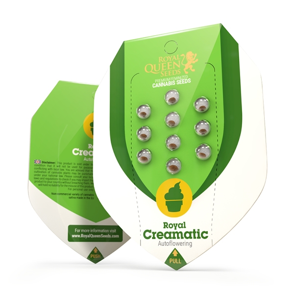 royal-creamatic-autofiorente-pacco pacco della pianta di cannabis royal creamatic autofiorente della royal queen seeds su weed therapy