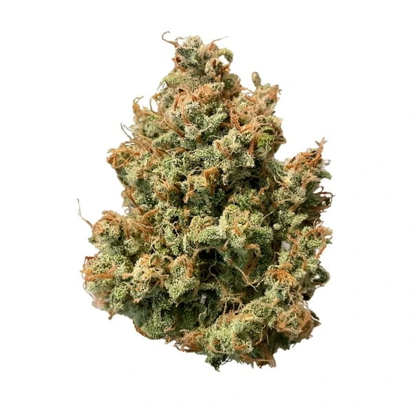 sweet-zz-automatic-cima cima della pianta di cannabis sweet zz automatic della royal queen seeds su weed therapy