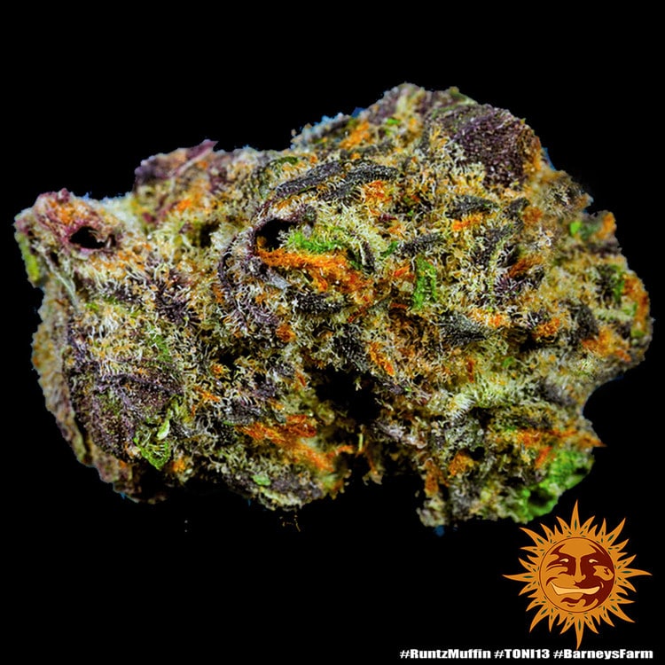 runtz-muffin_15_467000