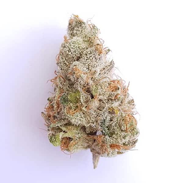 fat-banana-2