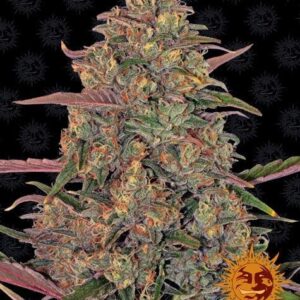 Pineapple Chunk