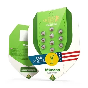 pacco dei semi di cannabis mimosa automatic della royal queen seeds su weed therapy