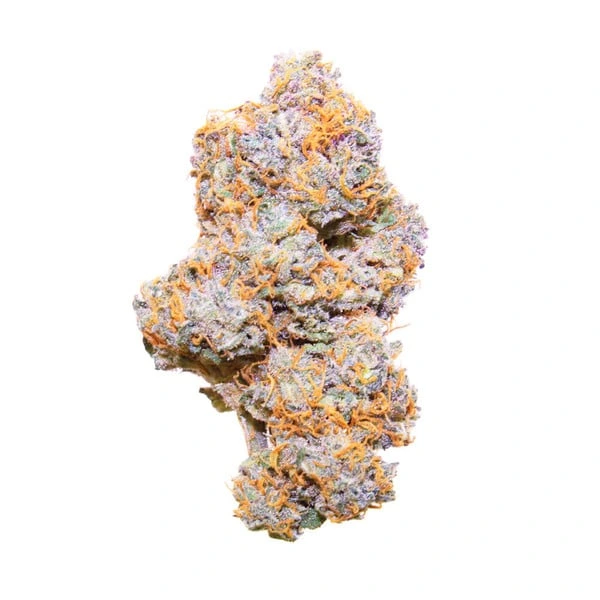 purple-punch-automatic-cima cima della pianta di cannabis purple punch automatic della royal queen seeds su weed therapy