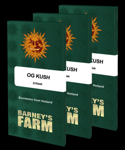 og-kush