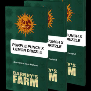 Purple Punch x Lemon Drizzle