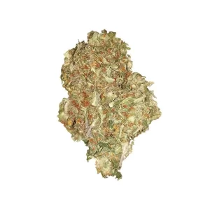 cima della pianta di cannabis quick one autofiorente della royal queen seeds su weed therapy